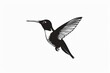 A stunning black and white silhouette capturing the delicate features and dynamic motion of a hummingbird in mid-flight