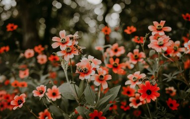 Poster - red and white flowers