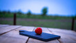 Close up of one strawberry on small black cutting board isolated outdoor on wooden table.