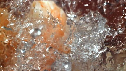 Sticker - Super slow motion shrimps. High quality FullHD footage