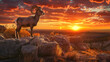 Sunset Standoff: A Majestic Bighorn Sheep Basks in the Breathtaking Beauty of New Mexico's Landscape