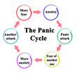 Six Components of Panic Cycle