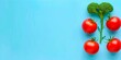 Bright red tomatoes and green broccoli offer a pop of color against a blue background, embodying healthy and fresh food choices with copyspace.