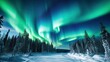 a green lights in the sky over a snowy forest
