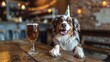 Dog Sitting at Table With Glass of Beer