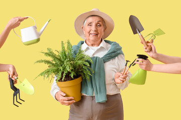 Sticker - Senior gardener with plant and tools on yellow background