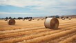 Field of hay rolls under blue sky