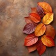 © Adobe Contributor - Colorful autumn leaves on brown stone background