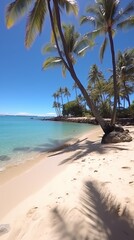 Wall Mural - Palm trees on a beach with white sand and blue water