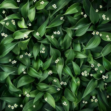 white flowers on a green background.