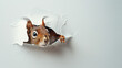 Whimsical Encounter: Squirrel's Paper Wall Peek. Generative AI