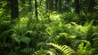 Lush vegetation in a dense woodland