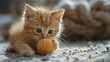 Small Kitten Sitting Next to a Ball of Yarn