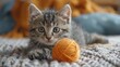 Kitten Playing With Yarn Ball
