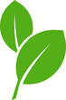 Green leaf vector icon. Eco leaf logo. Simple linear leaves of trees and plants. Elements for eco friendly and bio logo,vegan.  Ecology leaf element.