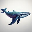 blue whale on white background
