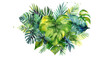 watercolor painting of jungle leaves in shape of a heart isolated against transparent background