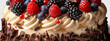 Decadent Berry Chocolate Cake Close-Up

