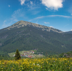 Wall Mural - Summer Gorgany massiv mountains scenery view from Sevenei hill (near Yablunytsia pass, Carpathians, Ukraine.)