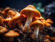 Macro image captures the abstract beauty of the sajor caju mushroom