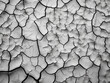 A textured expanse of dry desert ground, rendered in grayscale