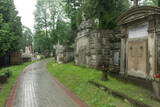 Fototapeta  - Cmentarz Łyczakowski we Lwowie w deszczu