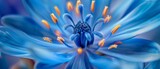 Fototapeta  - A macro shot of a striking blue flower with energetic pollen stems radiating beauty and vitality.