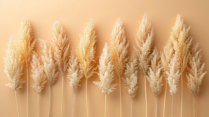 Wall Mural - Herbarium of dried reeds, flowers, and grass. Background of dried vegetation. Last year's inflorescences.