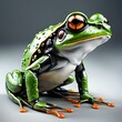Cyborg green and orange frog 