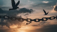 Peace And Freedom Concept Silhouette Of Flying Birds And Broken Chain On Beautiful Sky Sunset Background