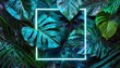 minimal nature concept creative layout made of tropical leaves with neon frame flat lay