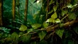 vine plant branch creeper leaf green liana tropical nature