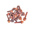 Spice cloves   isolated  on  transparent png