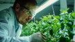 European scientist in the laboratory examines a plant that is illuminated by a rectangular LED lamp