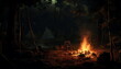 a camp fire during the night time in a forest, ai generative