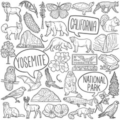 Wall Mural - Yosemite Doodle Icons Black and White Line Art. National Park Clipart Hand Drawn Symbol Design.