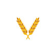 wheat plant grains bakery logo vector icon