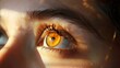 Moving on we see a pair of captivating amber eyes with a warm honey tone radiating from the center like pools of molten gold. .