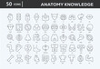 © yudi - Anatomy Knowledge Icons Collection For Business, Marketing, Promotion In Your Project. Easy To Use, Transparent Background, Easy To Edit And Simple Vector Icons