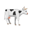 vector drawing white cow, farm animal isolated at white background, hand drawn illustration