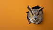 A curious owl peering through a hole in a warm orange paper wall, with copy space for banners.