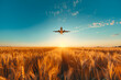 Panoramic landscape with fields and plane flying in clouds. Spring and summer meadow on sunset with airplane on sky. Travel concept