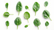 Fresh spinach leaves spread on white surface, top view. Pristine green spinach, with leaves fanned out, showcasing various shades and veins, ideal for health and nutrition use, cooking instructions