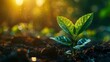 Glowing growth speaks to the heart of ESG, where technology meets ecology