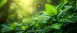 ESG’s promise, reflected in the unfolding leaves of green technological solutions