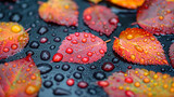 Fototapeta Lawenda - colorful autumn leaves with water droplets on them