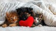 A cozy trio of a puppy and two kittens cuddling with a plush red heart, wrapped in a knit blanket.