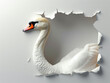 © MIA Studio - An elegant swan peeking through a hole in a pearl white paper wall offering substantial space for text