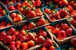 A picturesque scene of a farmer's market basket showcasing an abundance of luscious strawberries, their freshness and vibrant colors vividly captured in high-definition