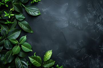 Poster - Slide background with colorful green leaves framing on a black painted wall. Background image. Created with Generative AI technology.